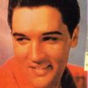 elvis 